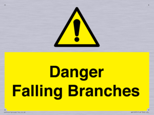 Danger Falling Branches